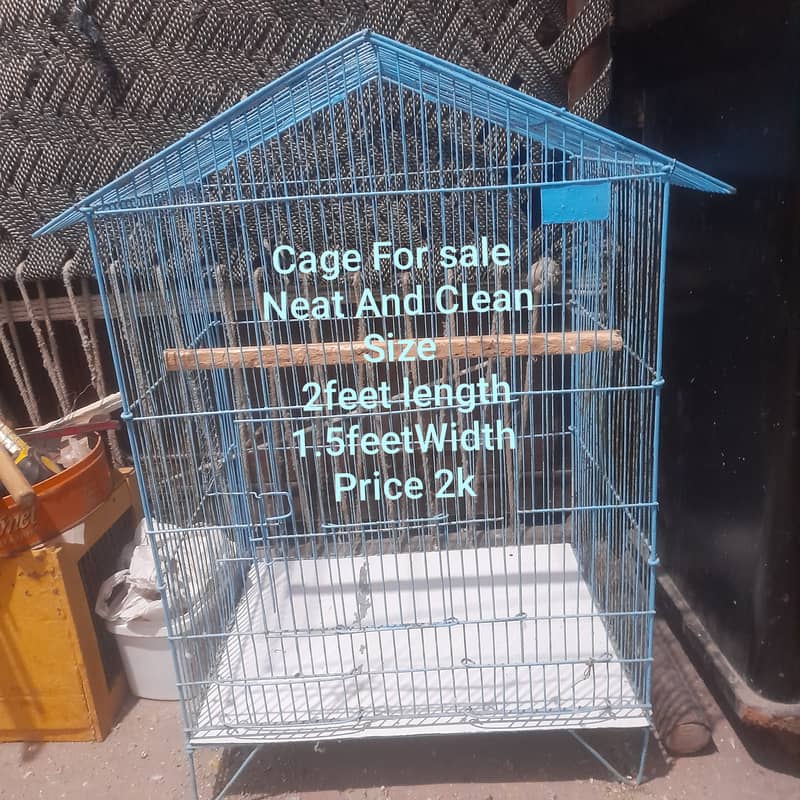 love bird Breeder pair and cage for sale. 3