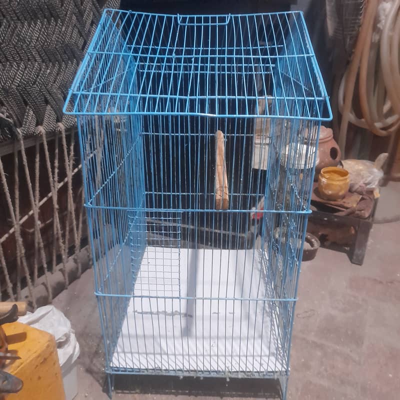 love bird Breeder pair and cage for sale. 5