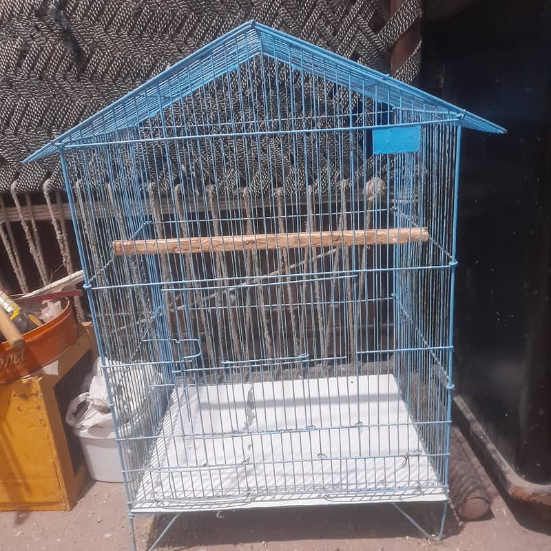 love bird Breeder pair and cage for sale. 8