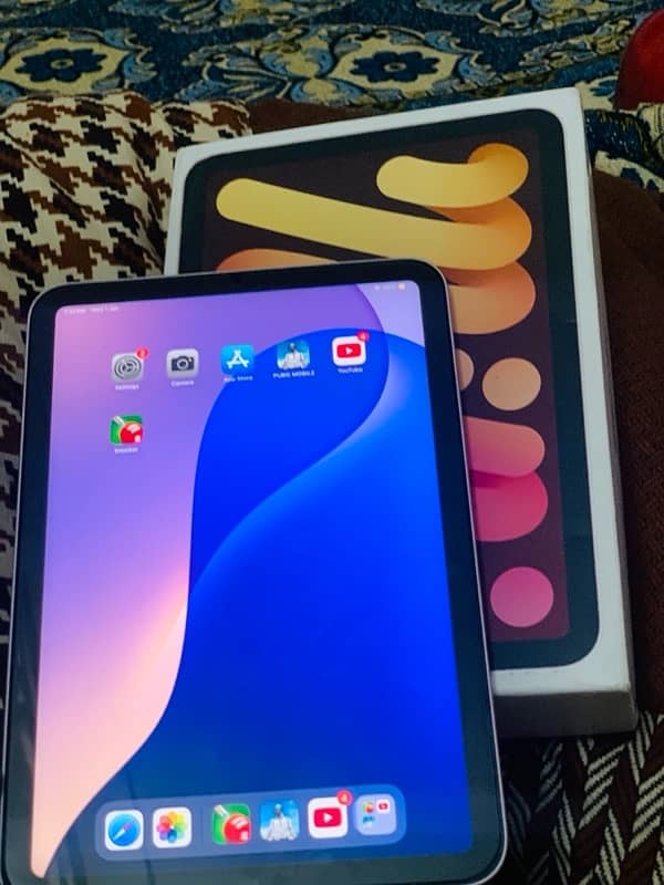 iPad mini 6  gold coler condition 10/9 64 gb 1