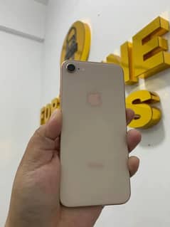 iPhone 8 256gb PTA approved