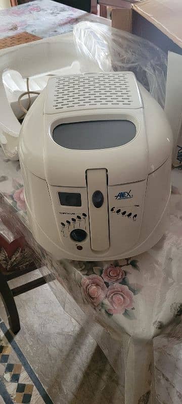 Anex Deep Fryer Ag 2012 1