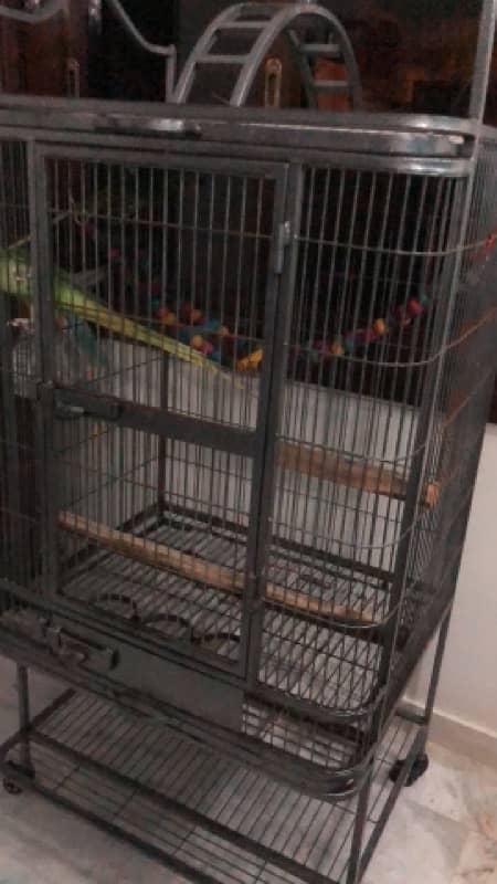 Macaow/Grey Parrot/ Cacatoo/ Raw Parrot Cage 1