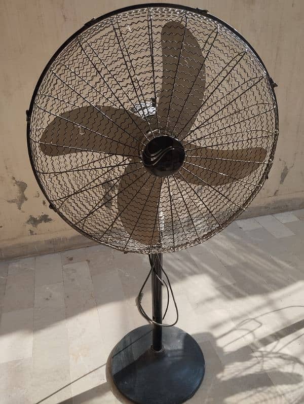 DIAMOND FAN for sale 0