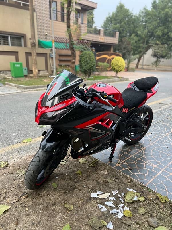 Kawasaki Ninja 250 cc Replica For Sale 8