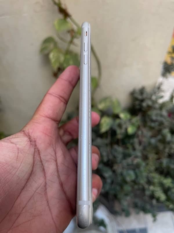 iPhone 8 Plus 256 gb pta approved 3