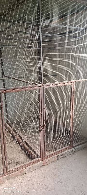 Birds Iron Cage (Pinjra) 2