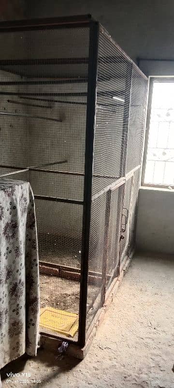 Birds Iron Cage (Pinjra) 3