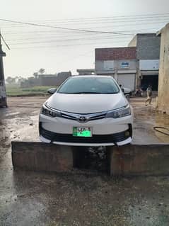 Toyota Corolla XLI 2018