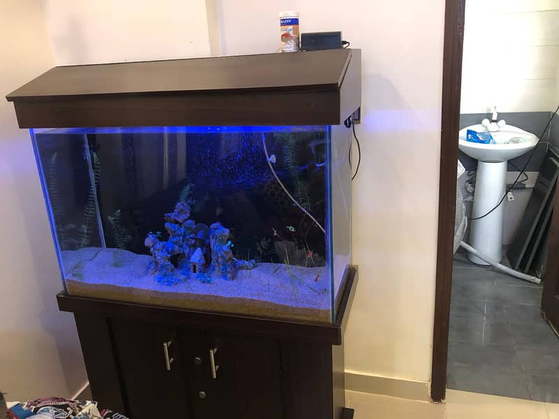 3 Feet Aquarium with complete accessories and fish 0