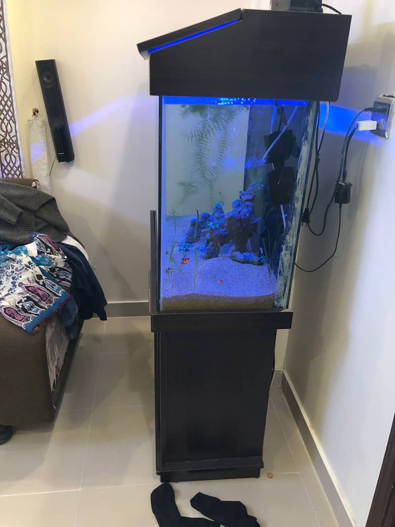 3 Feet Aquarium with complete accessories and fish 2