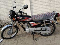 Honda CG 125 2024 Lush 03007352319