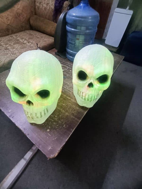 Skulls dor halloween 1