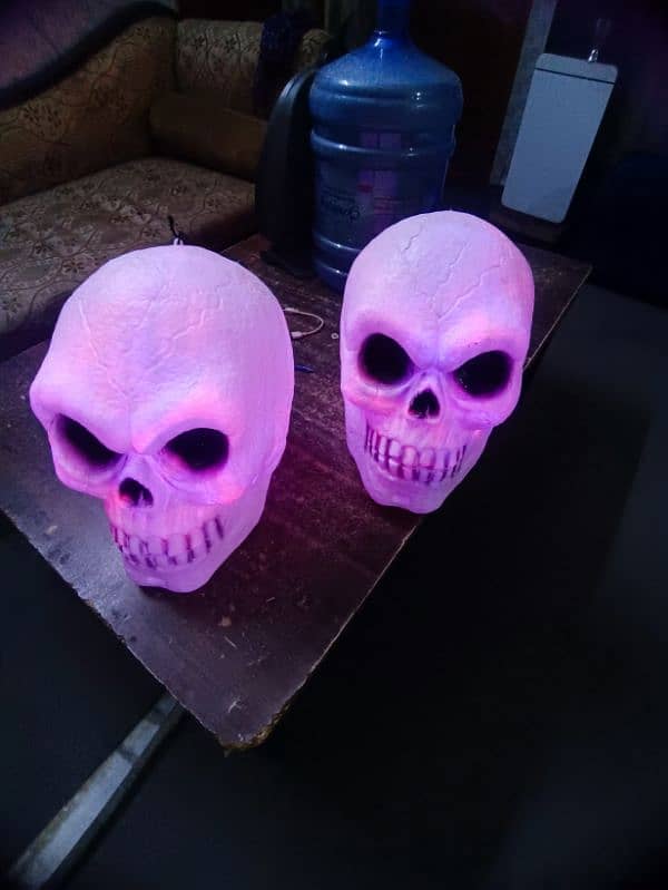 Skulls dor halloween 2