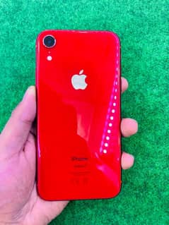 iphone XR Dual Approved