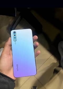 vivo