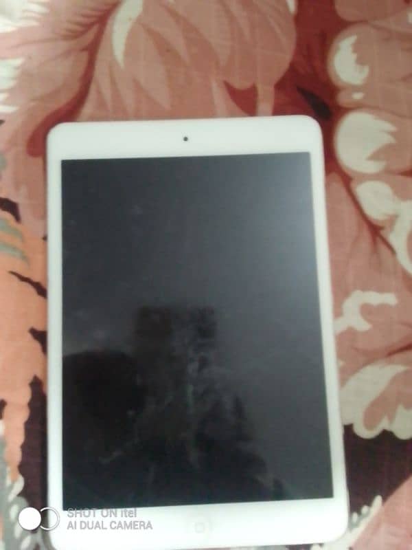 ipad mini 2 0