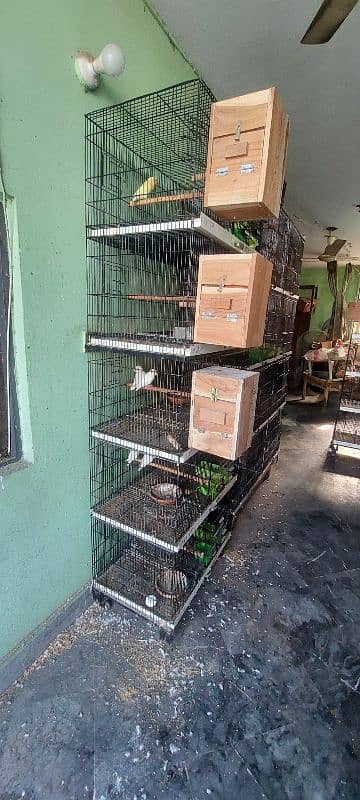 Cage love bird | Parrot cage | Birds cage | iron cage 0