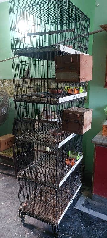 Cage love bird | Parrot cage | Birds cage | iron cage 1