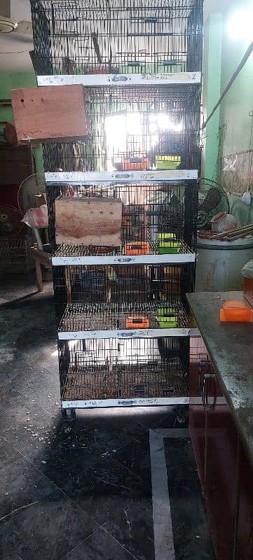 Cage love bird | Parrot cage | Birds cage | iron cage 2