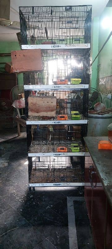 Cage love bird | Parrot cage | Birds cage | iron cage 3