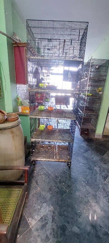 Cage love bird | Parrot cage | Birds cage | iron cage 5