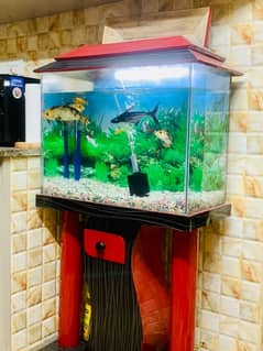 Full size aquarium all Fish available & no discount