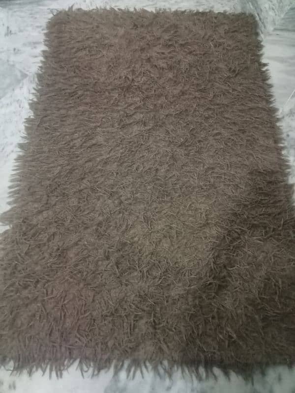 shaggy rug 1