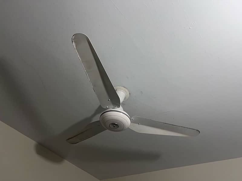 3 ceiling Fans 1