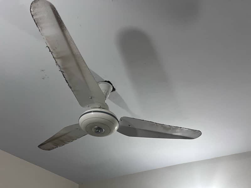 3 ceiling Fans 2