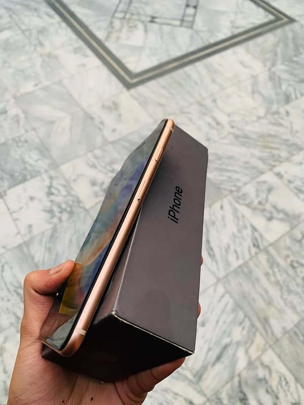 iPhone 8plus 256 gb  pta 1