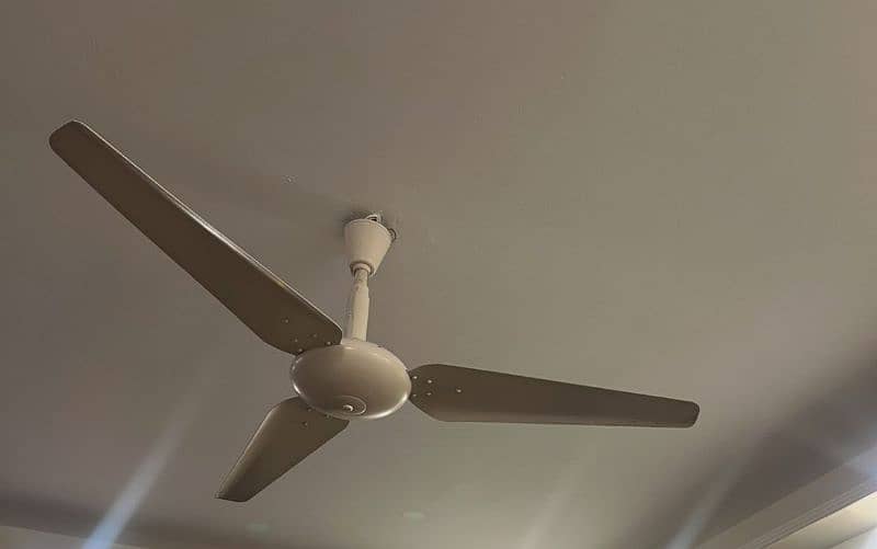 ceiling fan 0