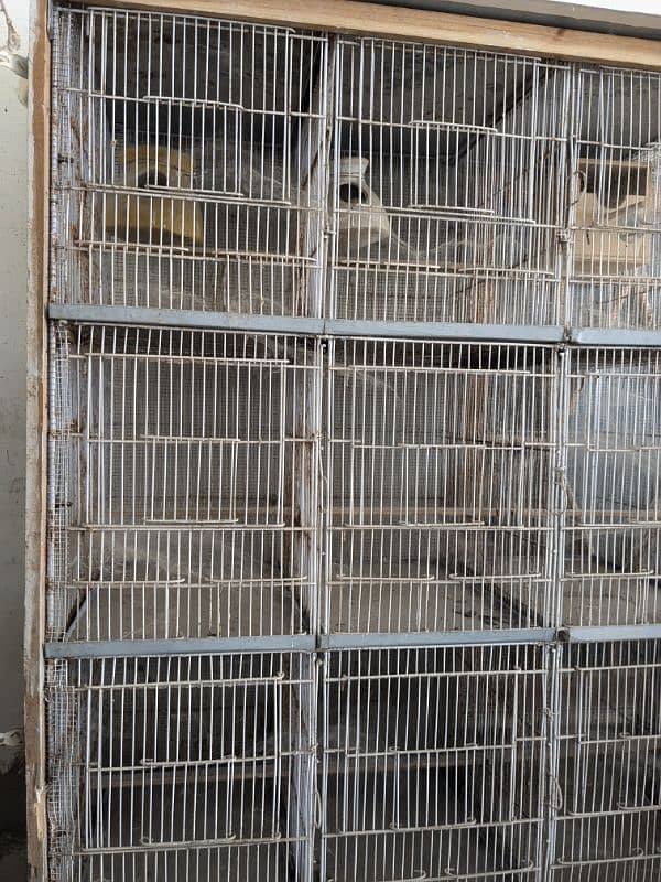 cage for sale 0