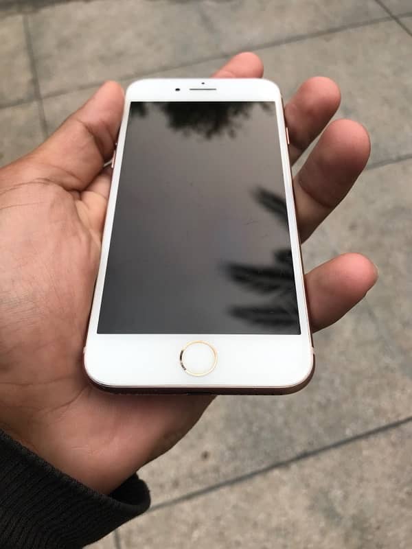 iphone 8 pta approved 64gb 3