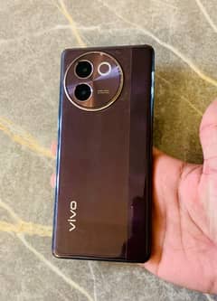 VIVO.