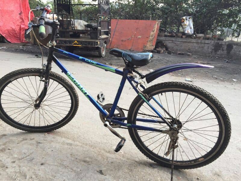 Bicycle in lush condition no one any fault Available in crispy price 1