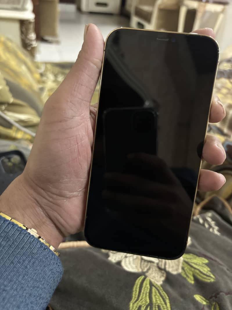 Apple iPhone 12 Pro Max 256GB NON PTA 5