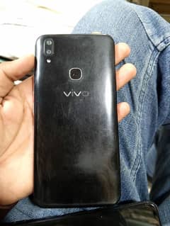 vivo