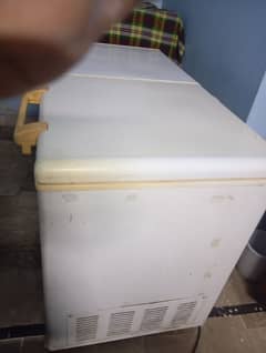 haier frezer double dour freezer