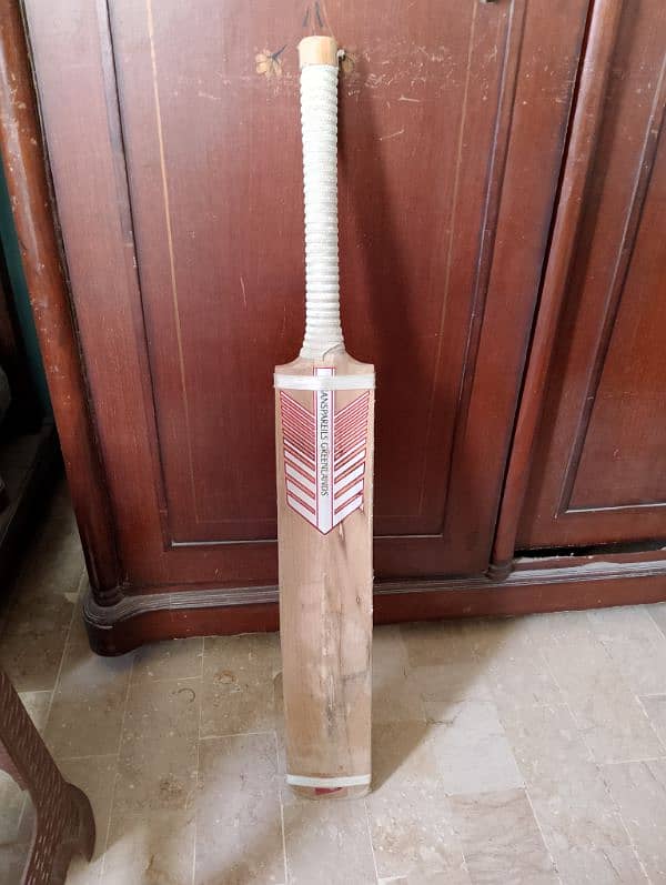 cricket kit 3