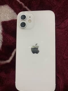 IPhone 12 white 10/10