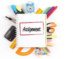 I can write assignment for you on any topic you want.