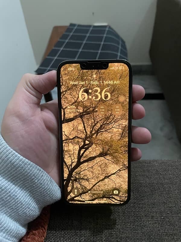 IPHONE 13 PRO NON PTA FU 5