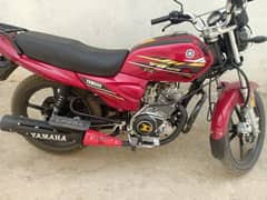 Yamaha YB 125Z-DX 2021