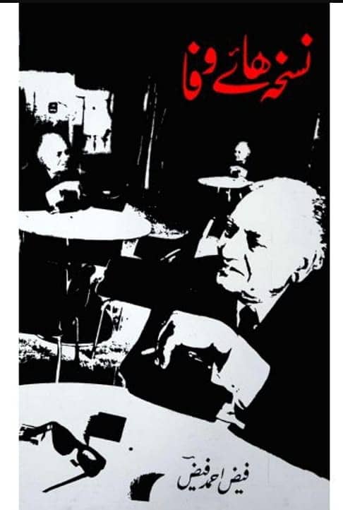 Books I Jaun Elia I AnjaanI Novels 12