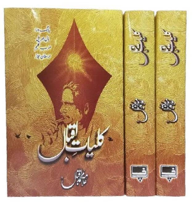 Books I Jaun Elia I AnjaanI Novels 15