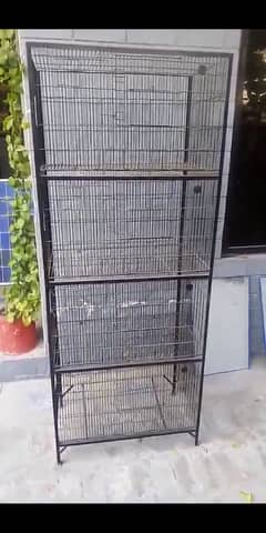 Parrot Cage