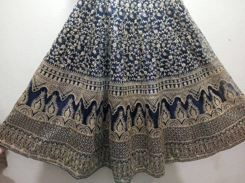 Lehnga Choli 3