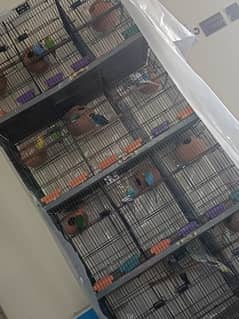 12 portion cage for sale