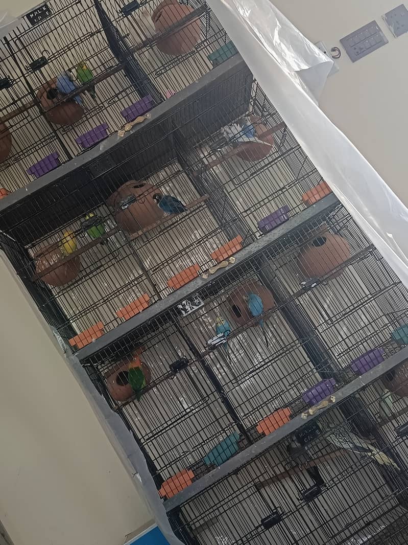 12 portion cage for sale 0